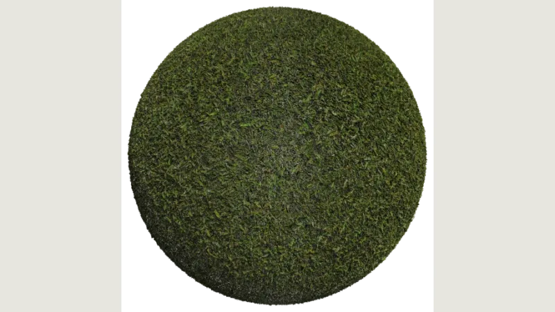 Grass 003 preview from licensed source files