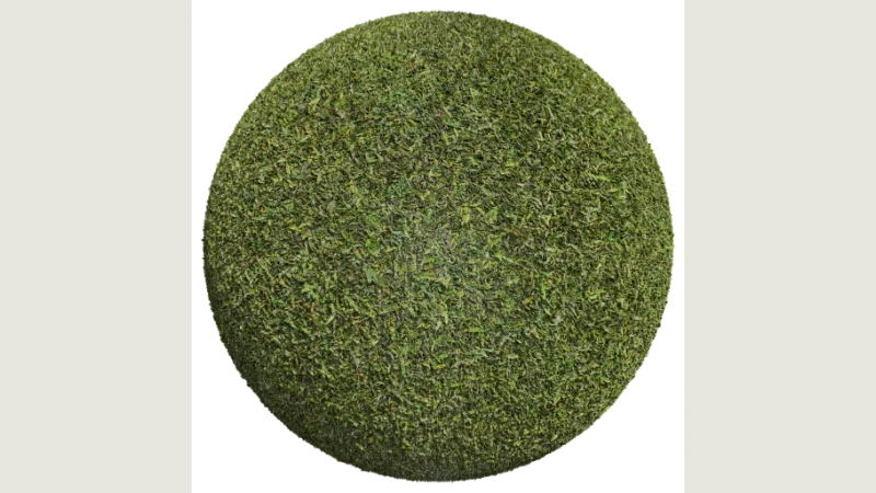Grass 004 preview from licensed source files