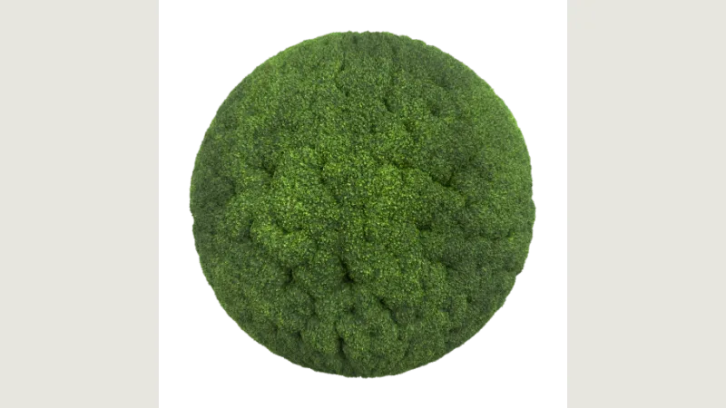 Moss 002 preview from licensed source files