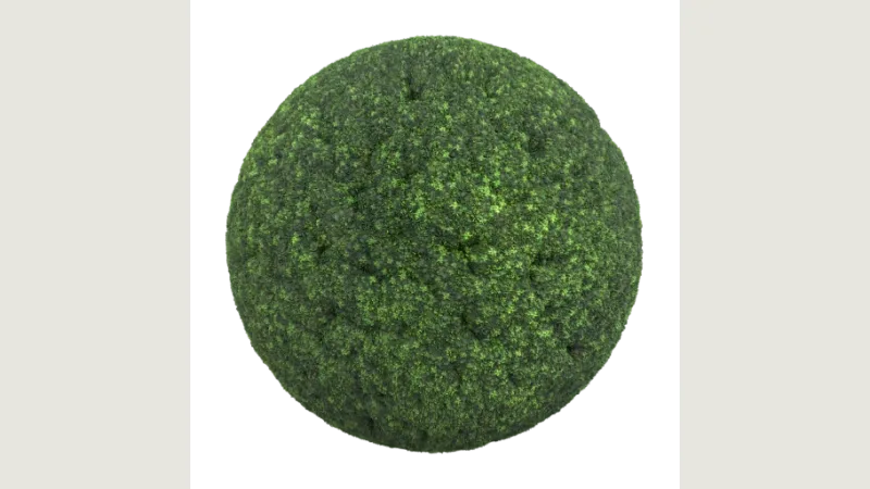 Moss 003 preview from licensed source files