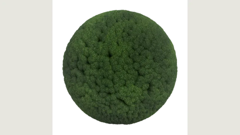 Moss 004 preview from licensed source files