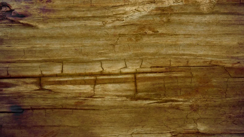 Wood Texture preview from licensed source files