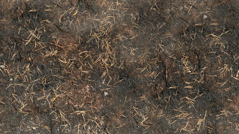 Burned Ground 01 preview from licensed source files