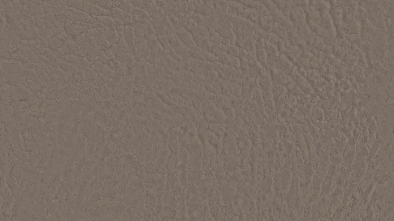 Ceiling Interior preview from licensed source files
