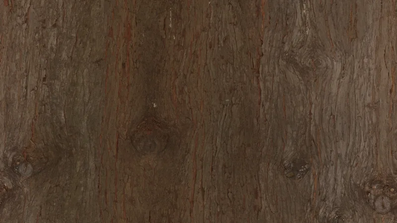 Chinese Cedar Bark preview from licensed source files