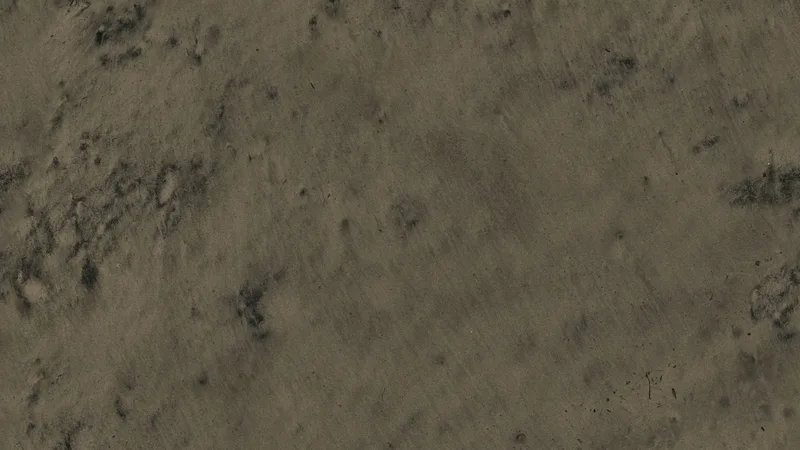 Damp Beach Sand 02 preview from licensed source files
