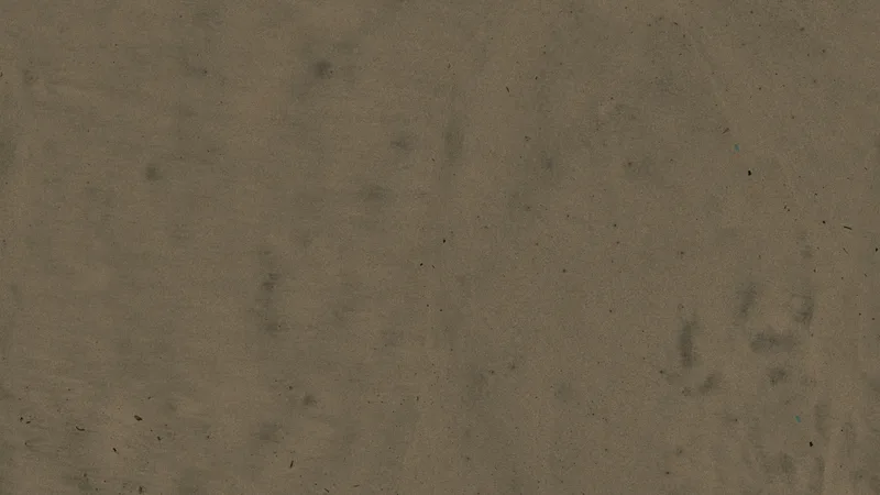 Damp Beach Sand preview from licensed source files