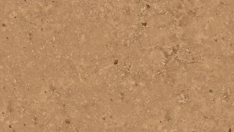 Dirt Floor preview from licensed source files