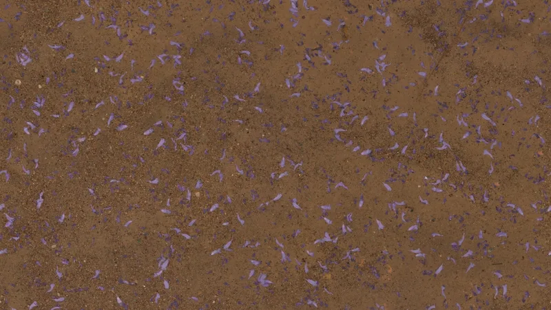 Flower Scattered Dirt preview from licensed source files