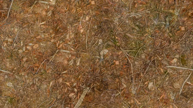 Forest Leaves 04 preview from licensed source files