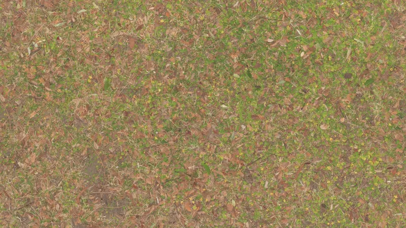 Leafy Grass preview from licensed source files
