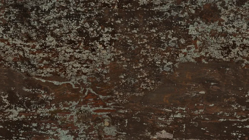 Lichen Rock preview from licensed source files