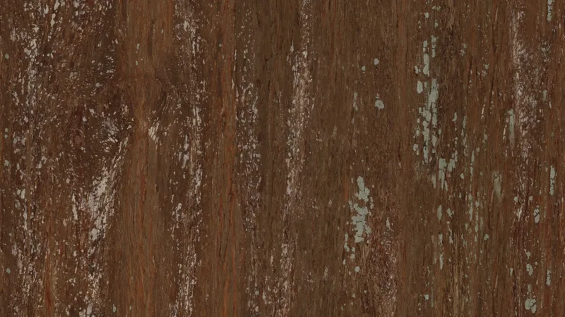 Metasequoia Bark preview from licensed source files