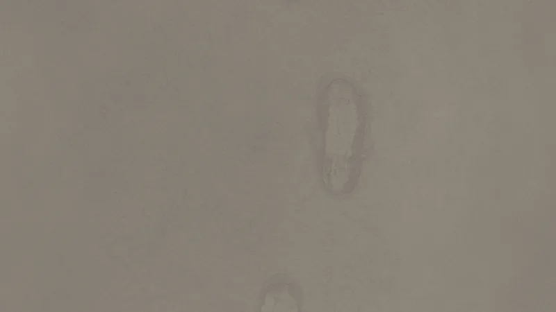 Moon Footprints 02 preview from licensed source files