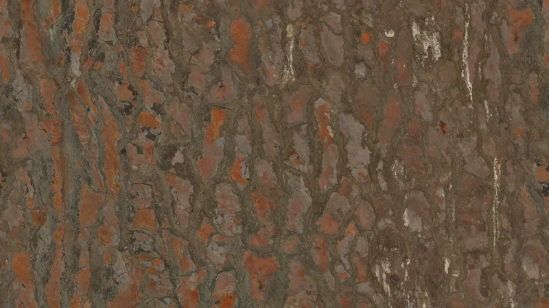 Pine Bark preview from licensed source files