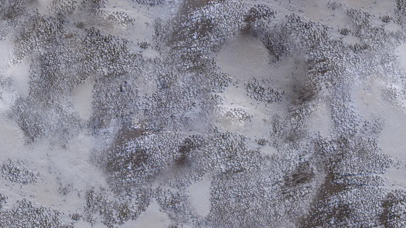 Snow Field Aerial preview from licensed source files